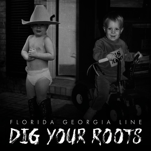 Florida Georgia Line Dig Your Roots Album Download